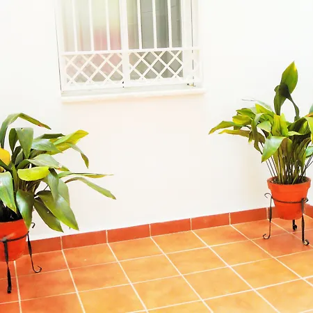 Martin House & 2* Гранада