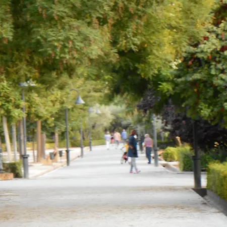 Martin House & Отель типа 